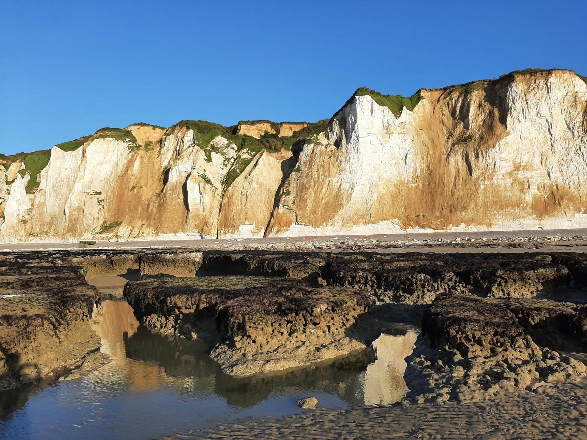 Gite Les Grandes Masures Vasterival วารองจิวิลล์-ซัวร์-แมร์ ภายนอก รูปภาพ